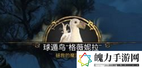 霍格沃茨之遗丰羽之鸟任务完成攻略