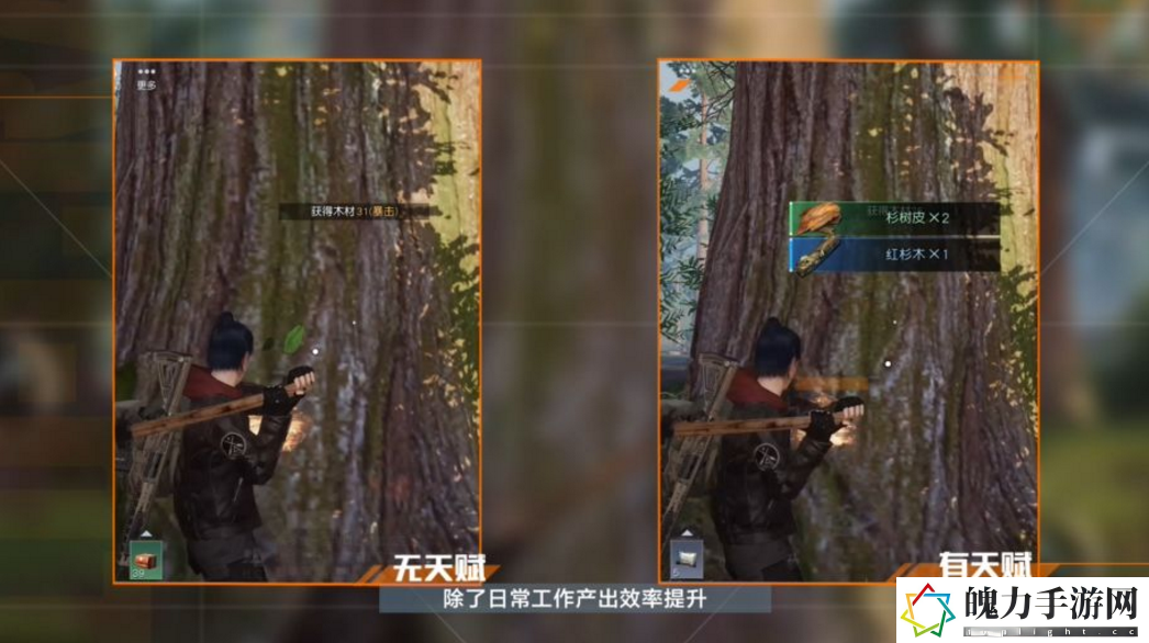 黎明觉醒采集没有经验了怎么办