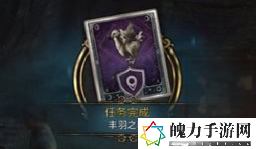 霍格沃茨之遗丰羽之鸟任务如何做