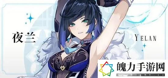 原神夜兰圣遗物推荐