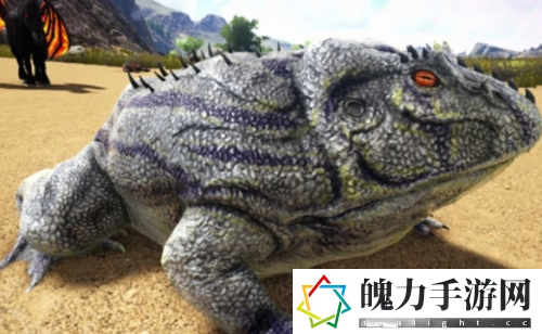方舟生存进化坐骑哪些实用