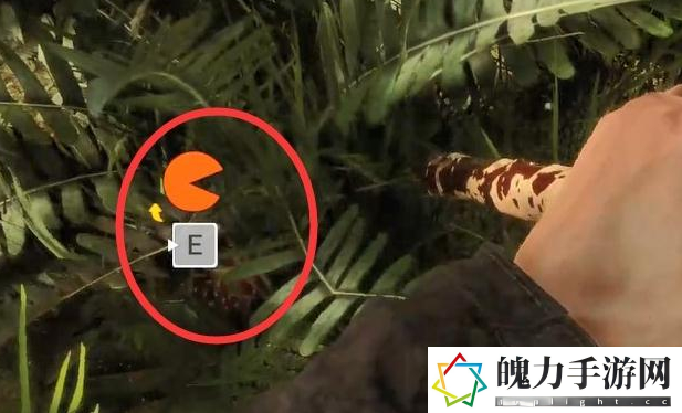 森林之子辨别果子有没有毒方法分享