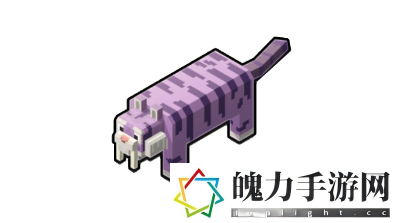 我的世界传奇坐骑位置一览