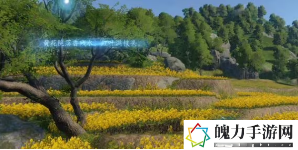 逆水寒手游磁州词话油菜花田任务攻略