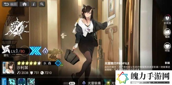 《白夜极光》初期阵容推荐 新手开荒配队思路分享