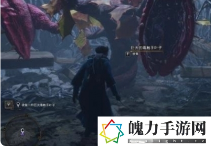 霍格沃茨之遗草药学暗廊攻略