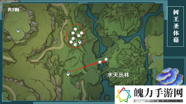 原神树王圣体菇采集路线