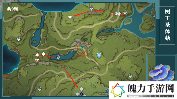原神树王圣体菇采集路线