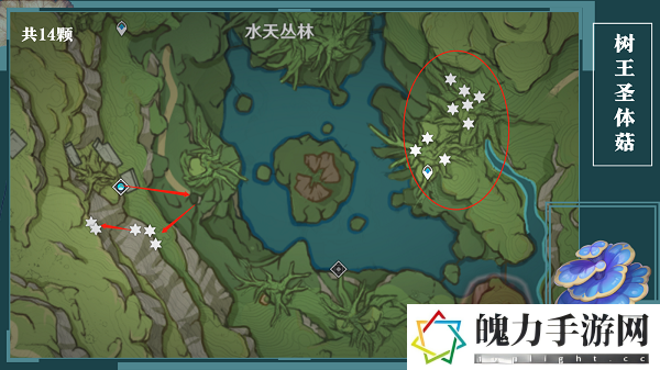 原神树王圣体菇采集路线