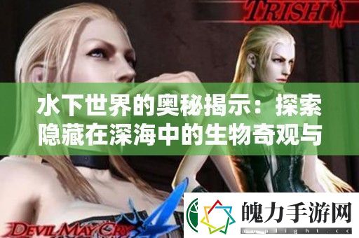 水下世界的奥秘揭示