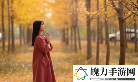 男生女生相嗟嗟嗟免费：感受多元文化的魅力