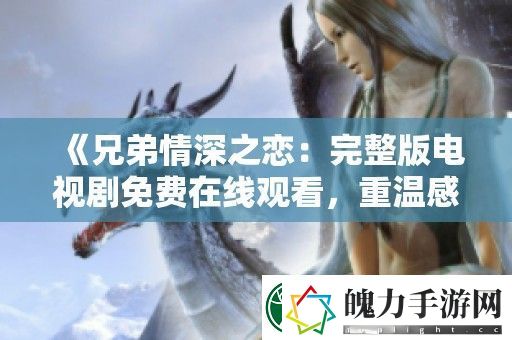 兄弟情深之恋