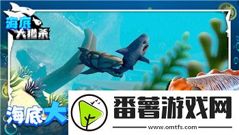 崩坏星穹铁道卡池时间详解