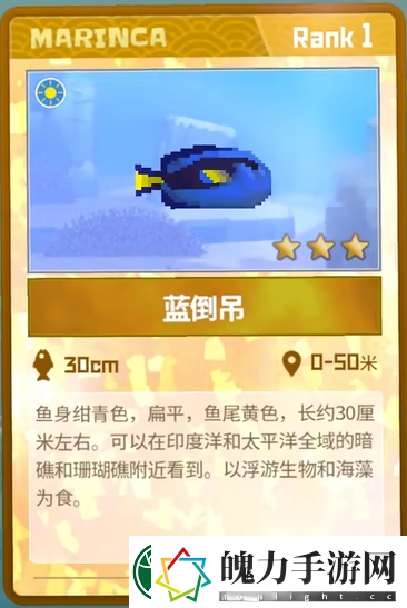 潜水员戴夫蓝倒吊抓捕攻略