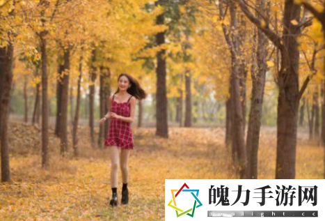 性老太奶BBwBBwBBW：心灵的共鸣与时代的印记