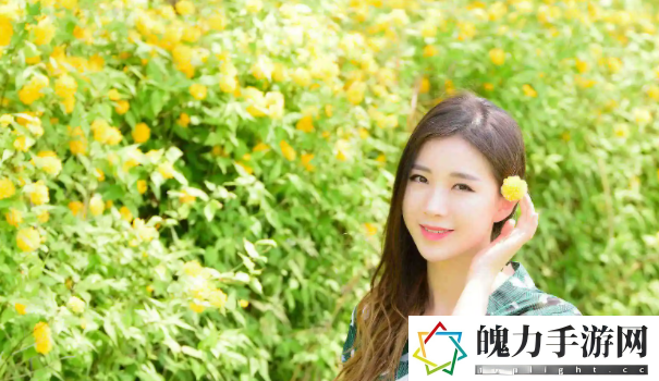 国产51精品秘 入口台北娜娜：有趣的汉字密码