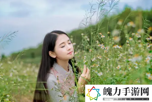 黑料不打样万里长征：幻想与现实的交汇点