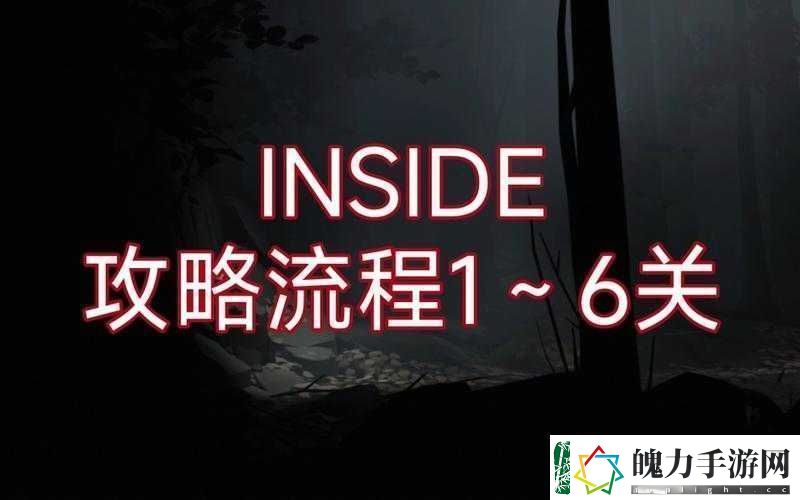 INSIDE游戏第六关究竟如何突破
