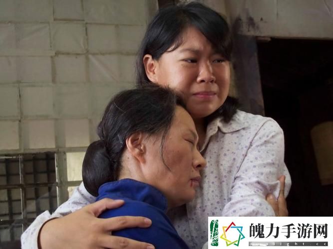 樱桃在线免费高清电视剧荣耀稳居榜首
