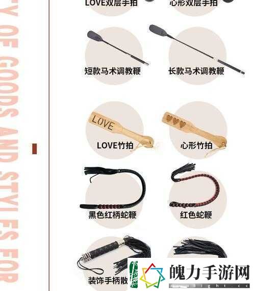 如何选择惩罚工具