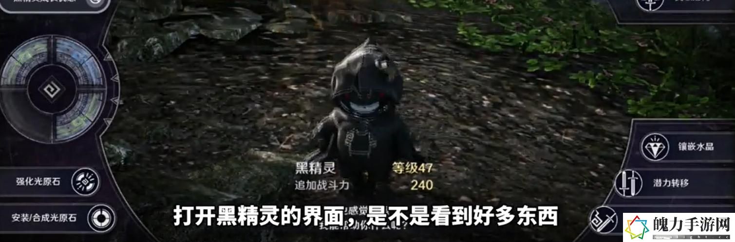 黑色沙漠手游黑精灵是什么 游戏升级最佳路径