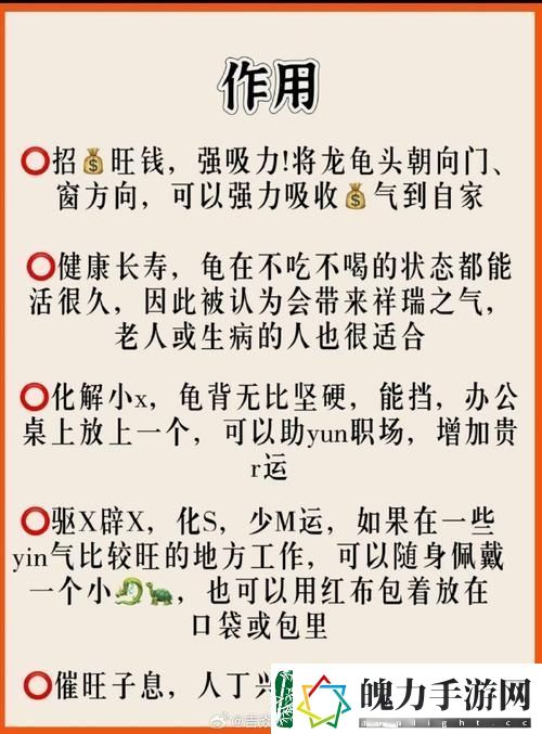 大BBBBBB老人的爱情与财运