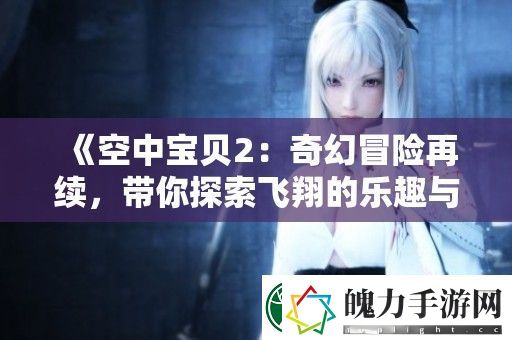 空中宝贝2