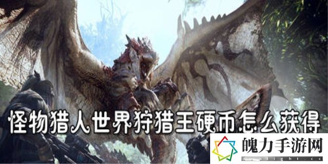 怪物猎人世界狩猎王硬币怎么弄