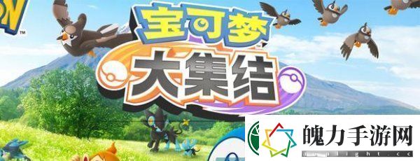 宝可梦大集结兑换码怎么输入
