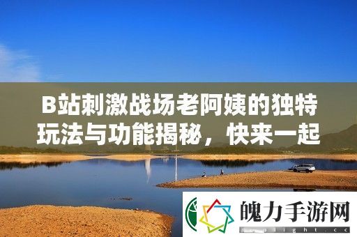 B站刺激战场老阿姨的独特玩法与功能揭秘