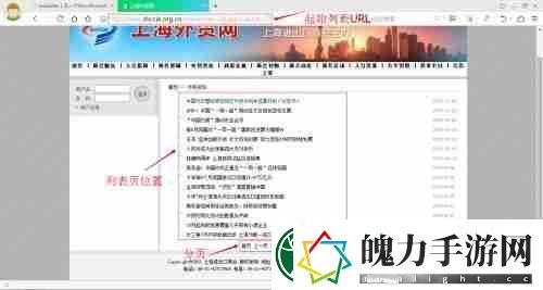 WordPress如何设置防盗链