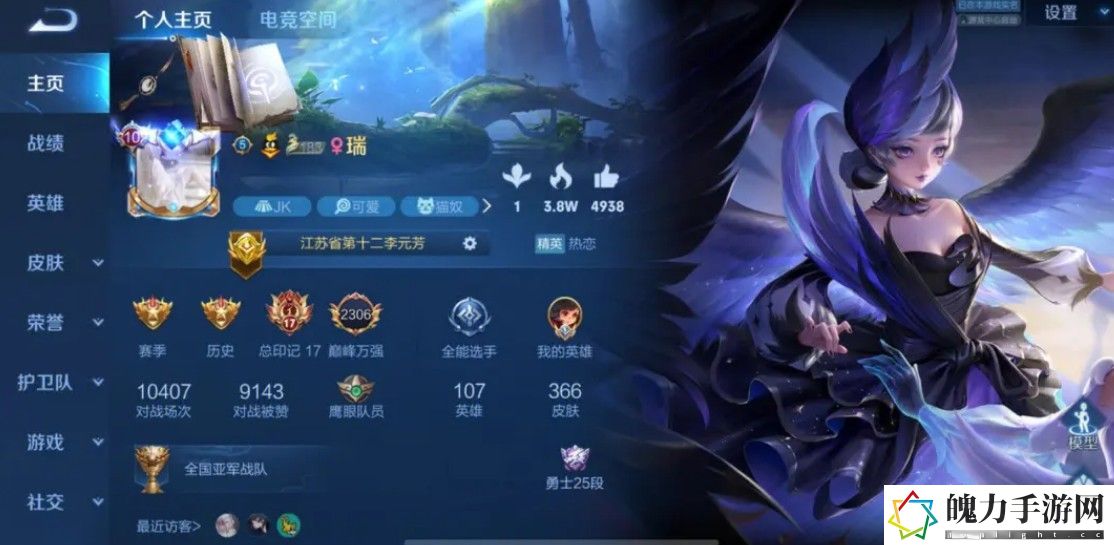 王者荣耀省级标志是什么样的