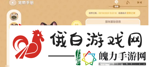 心动小镇如何弃养猫咪