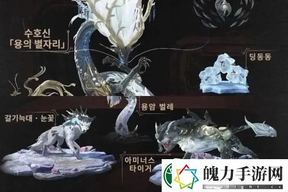 幻塔海洋生态保护联动