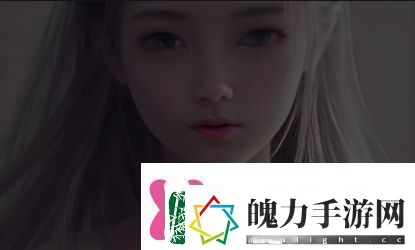 一级AAA与二级AAA证书对比