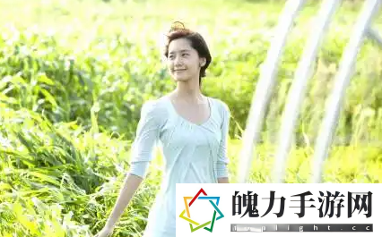 稀缺呦交UU暗呦XXX：这个版本真是太实用了！