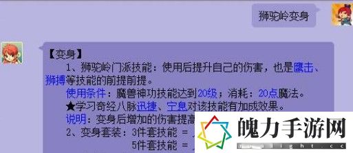 定心套加多少灵力