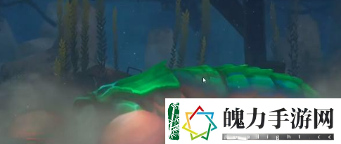 潜水员戴夫螳螂虾怎么打