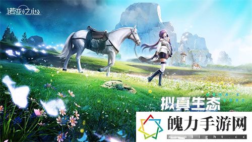 诺亚之心有PC端吗