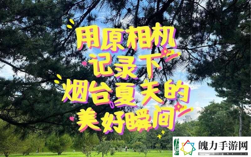 BEE视频评测深度解析
