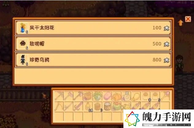 星露谷物语纤维怎么刷