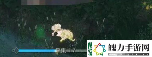 逆水寒手游幽谷寻茵怎么过