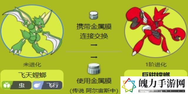 巨钳螳螂配招方案