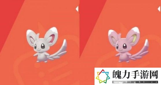 泡沫栗鼠如何进化