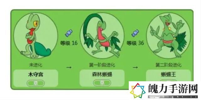 木守宫什么性格比较好