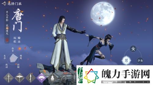 天涯明月刀唐门心法搭配分享