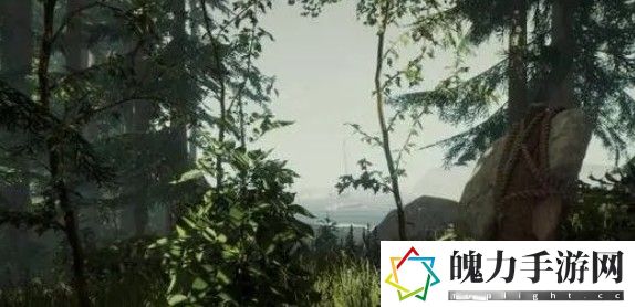 森林怎么刷木头
