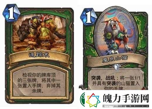 炉石传说魔泉山猫究竟有何魅力
