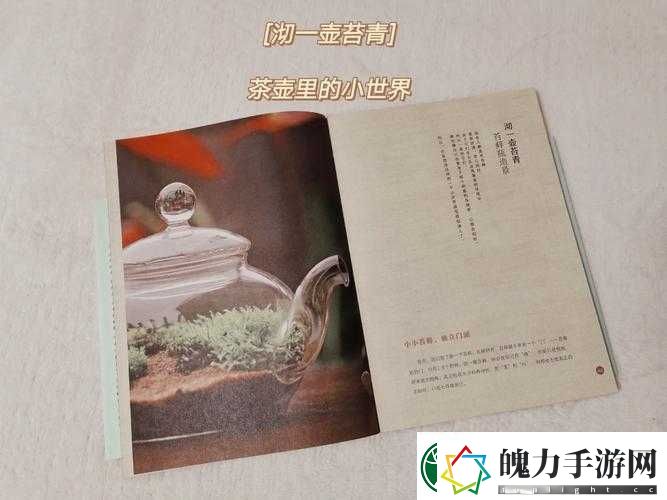 锈苔游戏英文名究竟为何
