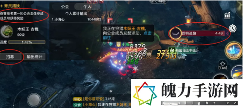 天谕手游青灵猎妖怎么打 宠物属性点分配艺术